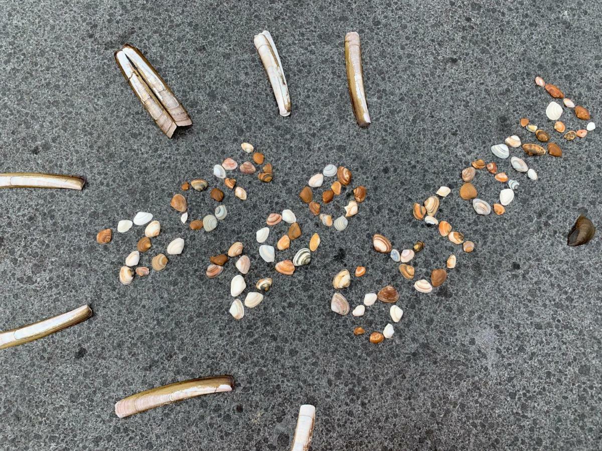 Vakantiebungalow Mee Naar Ouddorp Aan Zee Exteriör bild